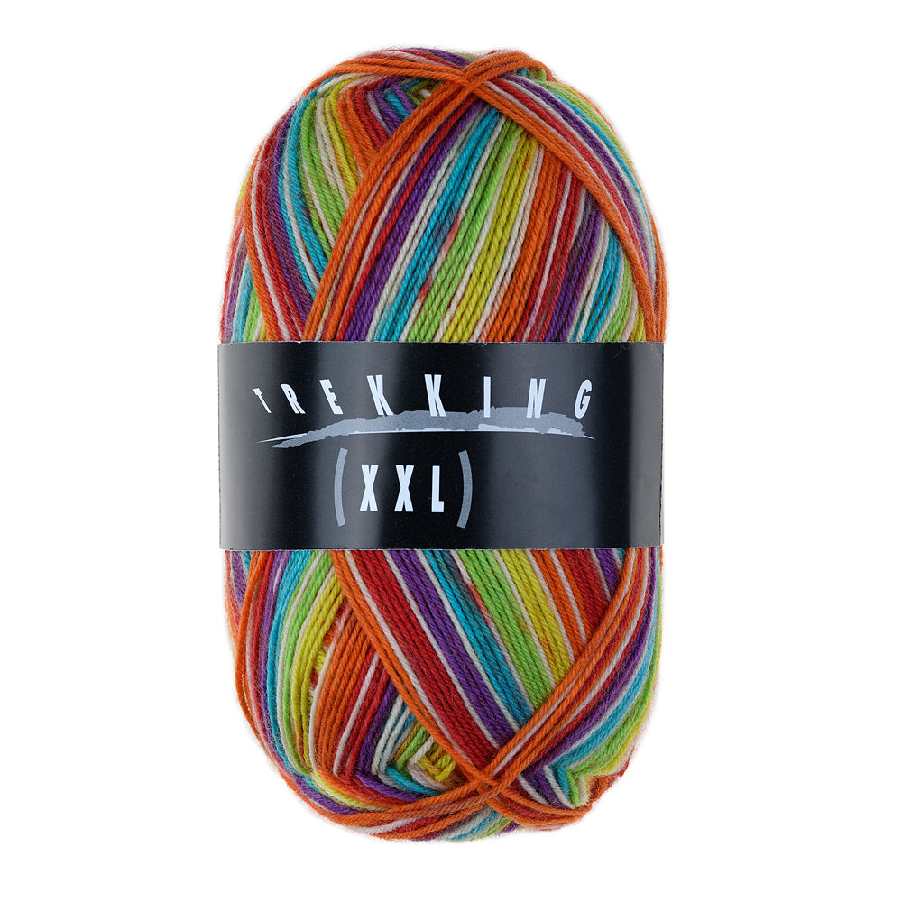 Atelier Zitron - Trekking 4-fach Color 100g