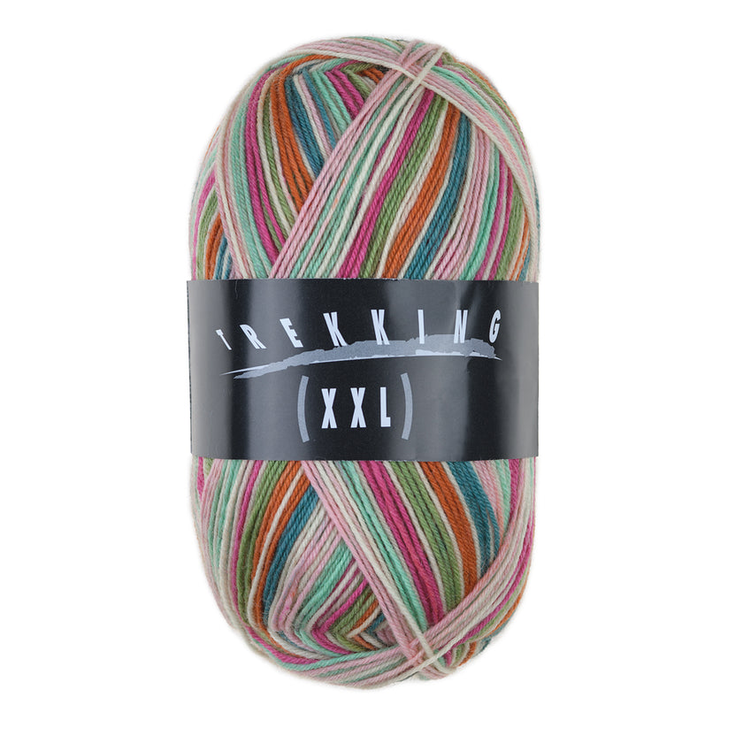 Atelier Zitron - Trekking 4-fach Color 100g